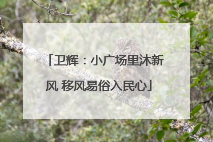 卫辉：小广场里沐新风 移风易俗入民心
