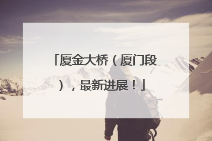 厦金大桥（厦门段），最新进展！