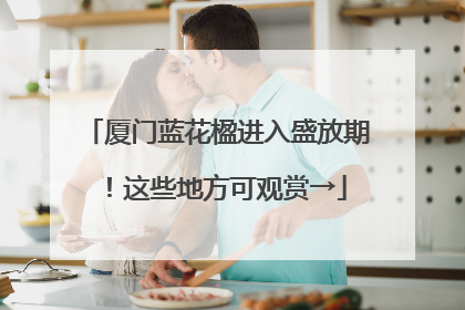 厦门蓝花楹进入盛放期！这些地方可观赏→