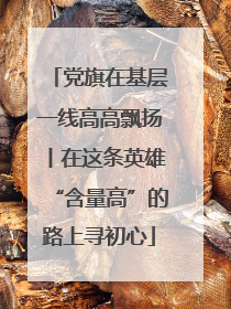 党旗在基层一线高高飘扬丨在这条英雄“含量高”的路上寻初心