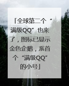 全球第二个“满级QQ”也来了，图标已显示金色企鹅，系首个“满级QQ”的小号