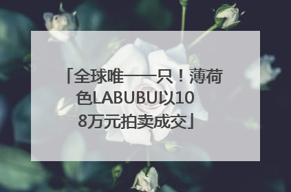 全球唯一一只！薄荷色LABUBU以108万元拍卖成交