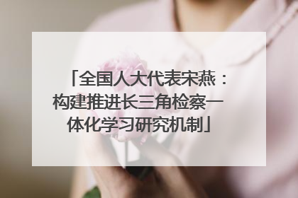 全国人大代表宋燕：构建推进长三角检察一体化学习研究机制