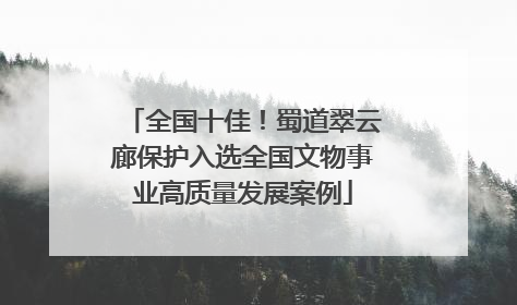 全国十佳！蜀道翠云廊保护入选全国文物事业高质量发展案例