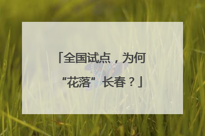 全国试点，为何“花落”长春？