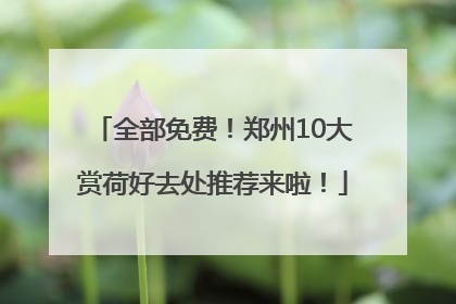 全部免费！郑州10大赏荷好去处推荐来啦！