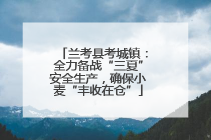 兰考县考城镇：全力备战“三夏”安全生产，确保小麦“丰收在仓”