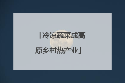 冷凉蔬菜成高原乡村热产业