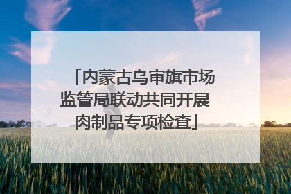 内蒙古乌审旗市场监管局联动共同开展肉制品专项检查
