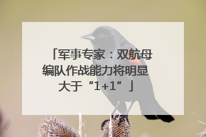 军事专家：双航母编队作战能力将明显大于“1+1”