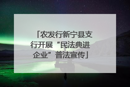 农发行新宁县支行开展“民法典进企业”普法宣传