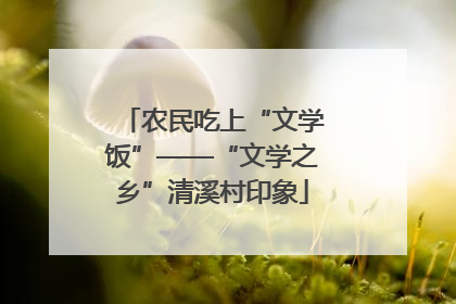 农民吃上“文学饭”——“文学之乡”清溪村印象
