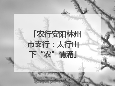 农行安阳林州市支行：太行山下“农”情涌