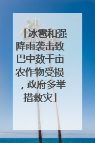 冰雹和强降雨袭击致巴中数千亩农作物受损，政府多举措救灾