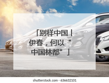 别样中国丨伊春，何以“中国林都”