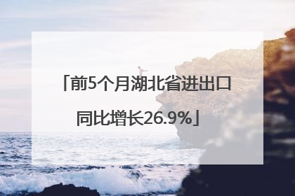 前5个月湖北省进出口同比增长26.9%