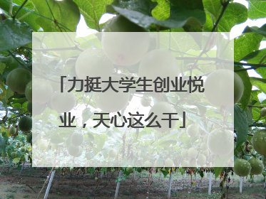 力挺大学生创业悦业，天心这么干