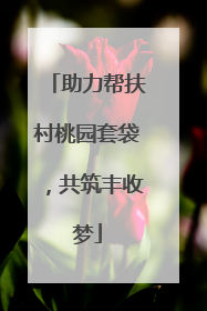 助力帮扶村桃园套袋，共筑丰收梦