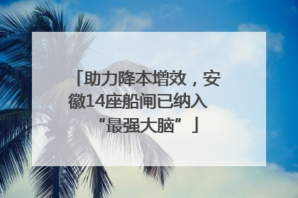 助力降本增效，安徽14座船闸已纳入“最强大脑”