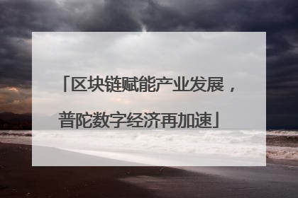 区块链赋能产业发展，普陀数字经济再加速