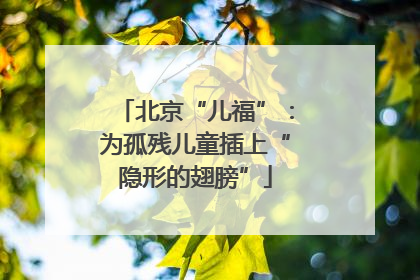 北京“儿福”：为孤残儿童插上“隐形的翅膀”