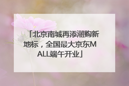 北京南城再添潮购新地标，全国最大京东MALL端午开业