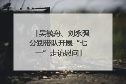 吴毓舟、刘永强分别带队开展“七一”走访慰问