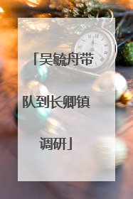 吴毓舟带队到长卿镇调研