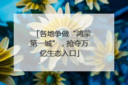 各地争做“鸿蒙第一城”，抢夺万亿生态入口