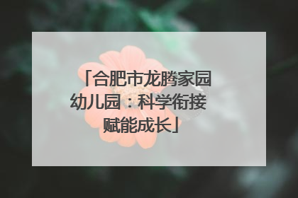 合肥市龙腾家园幼儿园：科学衔接 赋能成长