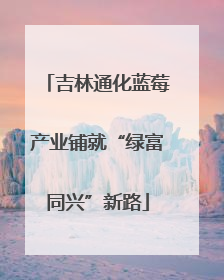 吉林通化蓝莓产业铺就“绿富同兴”新路