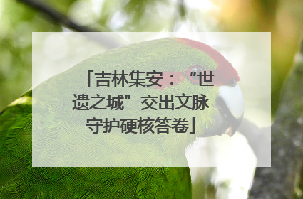 吉林集安：“世遗之城”交出文脉守护硬核答卷