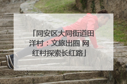 同安区大同街道田洋村：文旅出圈 网红村探索长红路