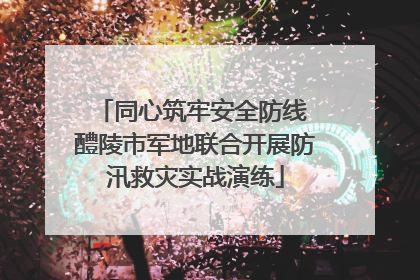 同心筑牢安全防线 醴陵市军地联合开展防汛救灾实战演练