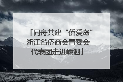 同舟共建“侨爱岛” 浙江省侨商会青委会代表团走进嵊泗
