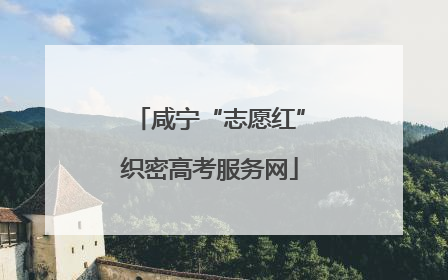咸宁“志愿红”织密高考服务网