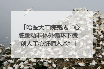 哈医大二院完成“心脏跳动非体外循环下微创人工心脏植入术”