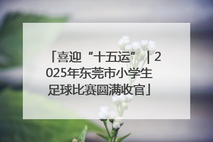 喜迎“十五运”｜2025年东莞市小学生足球比赛圆满收官
