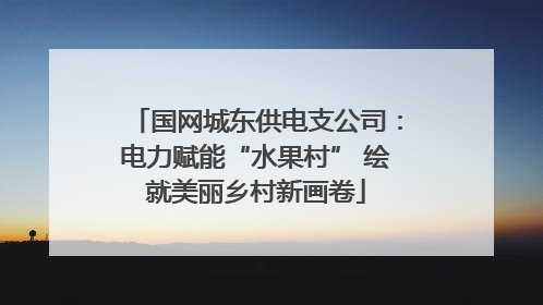 国网城东供电支公司：电力赋能“水果村” 绘就美丽乡村新画卷