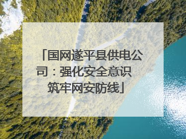 国网遂平县供电公司：强化安全意识 筑牢网安防线
