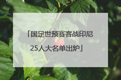 国足世预赛客战印尼25人大名单出炉