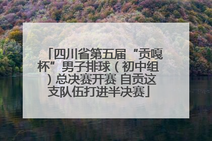 四川省第五届“贡嘎杯”男子排球（初中组）总决赛开赛 自贡这支队伍打进半决赛