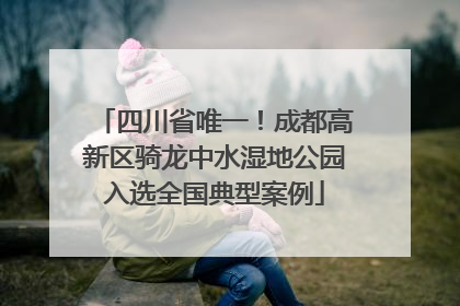 四川省唯一！成都高新区骑龙中水湿地公园入选全国典型案例