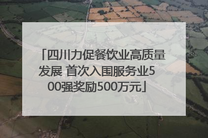 四川力促餐饮业高质量发展 首次入围服务业500强奖励500万元