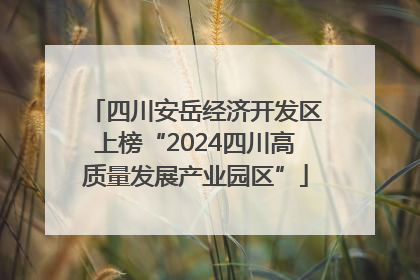 四川安岳经济开发区上榜“2024四川高质量发展产业园区”