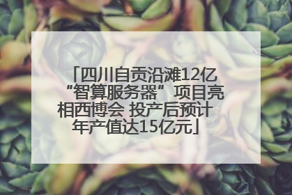 四川自贡沿滩12亿“智算服务器”项目亮相西博会 投产后预计年产值达15亿元