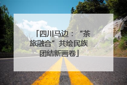 四川马边：“茶旅融合”共绘民族团结新画卷