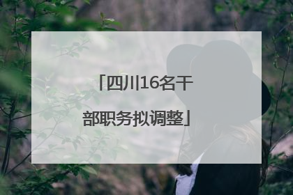 四川16名干部职务拟调整