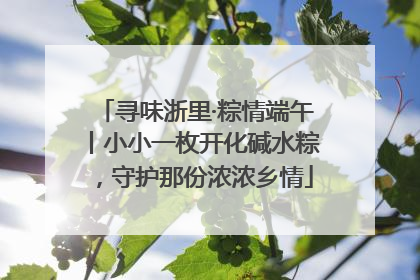 寻味浙里·粽情端午丨小小一枚开化碱水粽，守护那份浓浓乡情