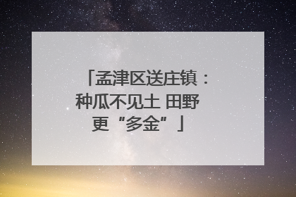 孟津区送庄镇：种瓜不见土 田野更“多金”